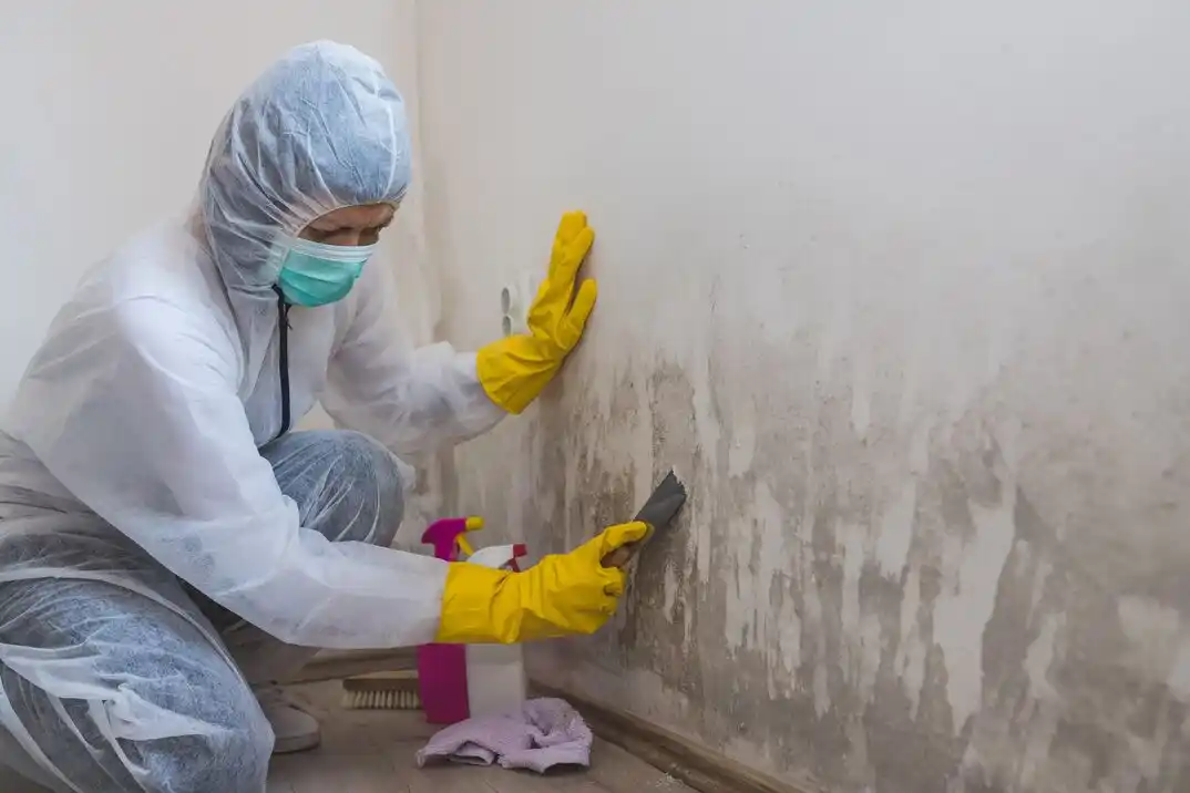 water damage restoration service Picardy Pointe